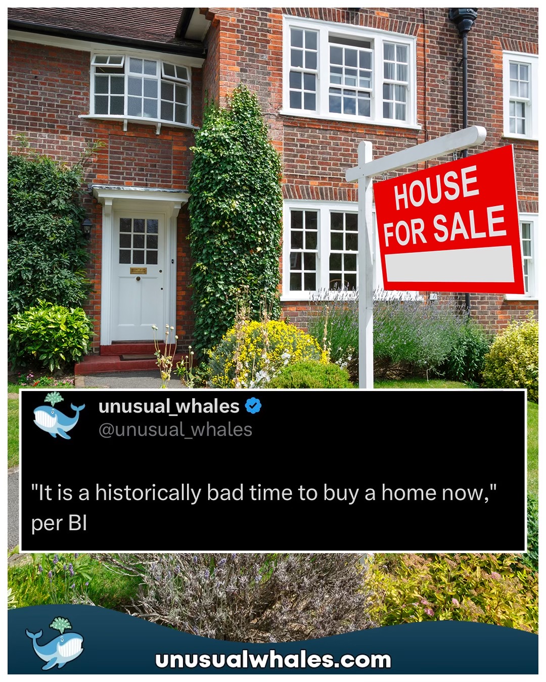 @Unusual Whales