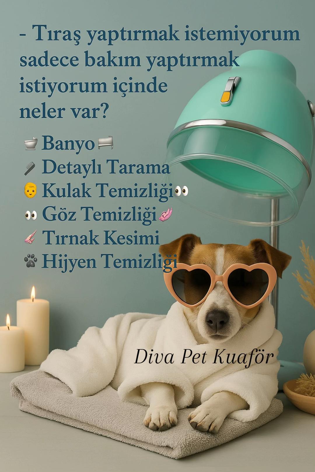 @Diva Pet Kuaf&ouml;r Ankara
