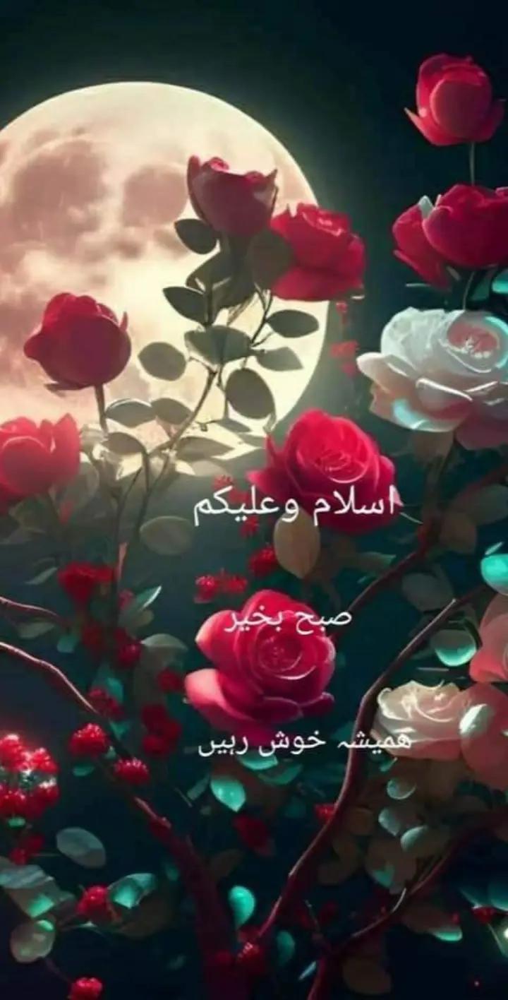 @Aslam Khan