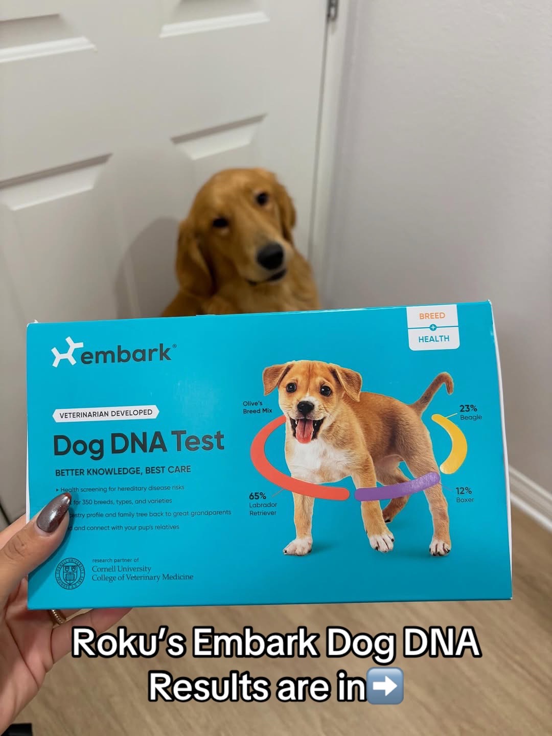 @Embark Vet