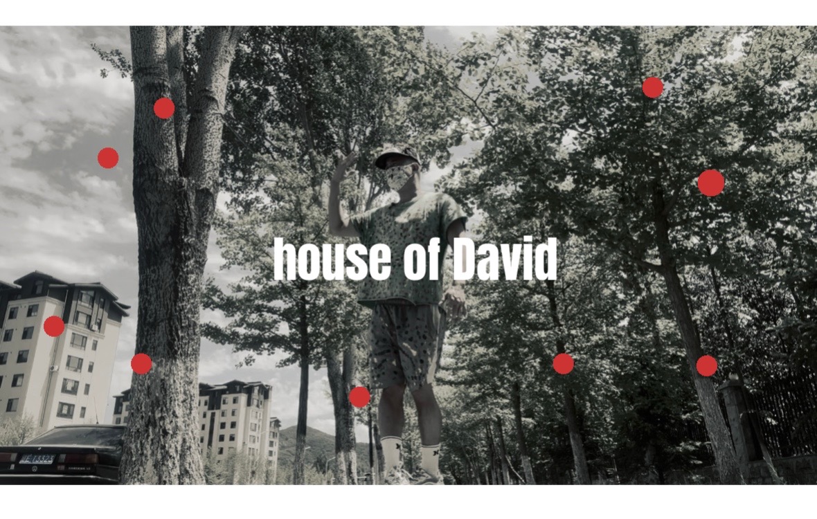 @thekingdavid10000