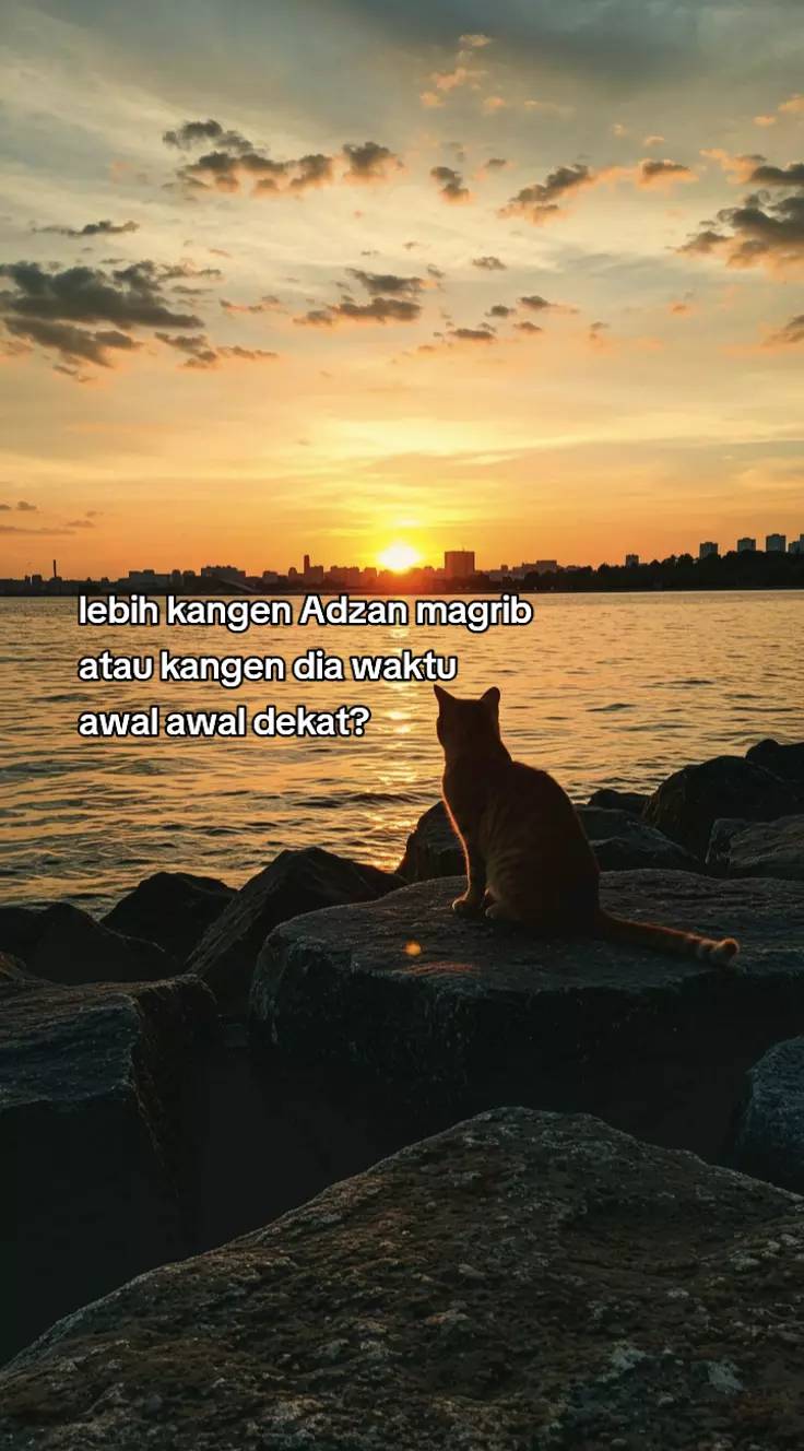 @☆MAULxGOOD++