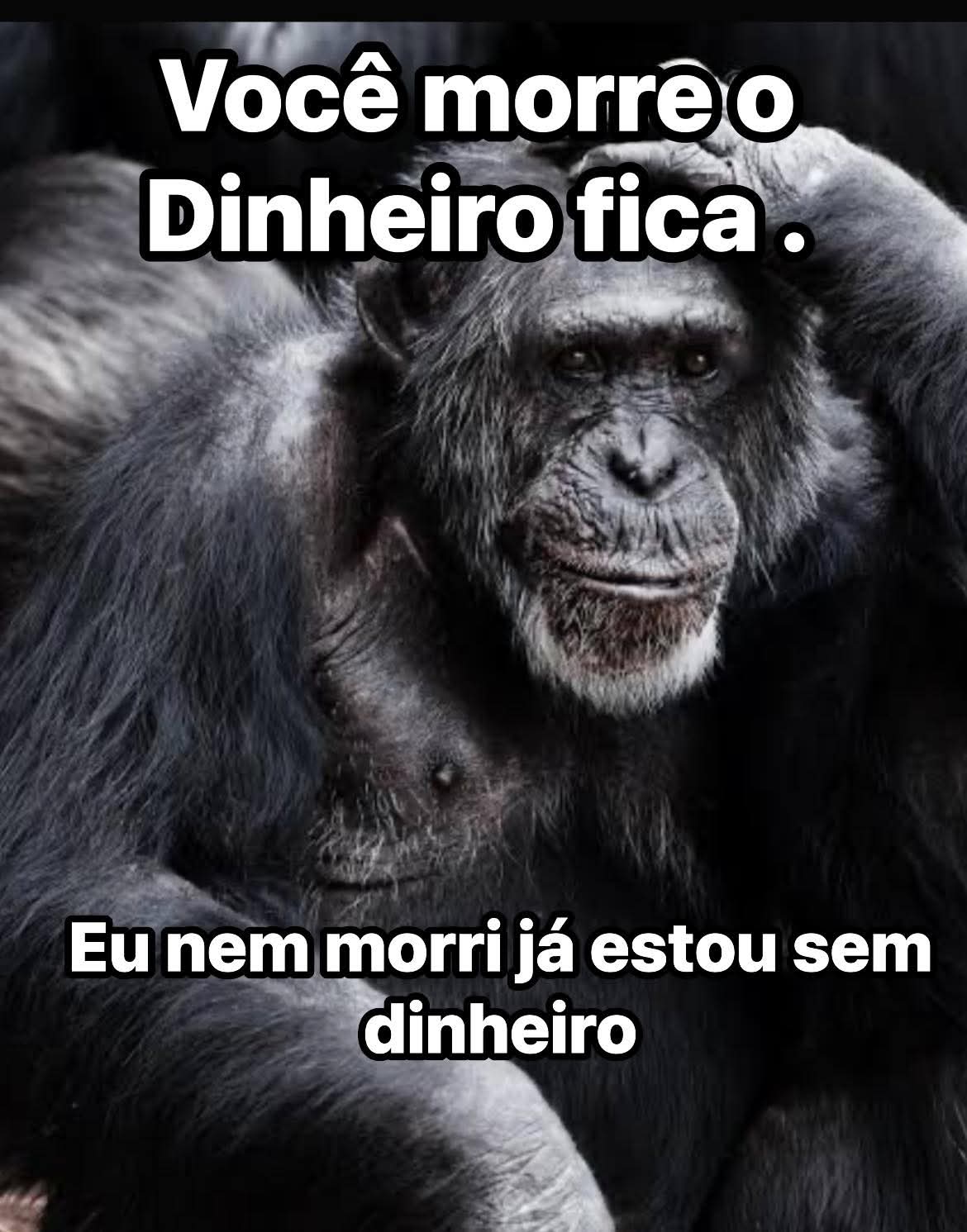 @Lucio