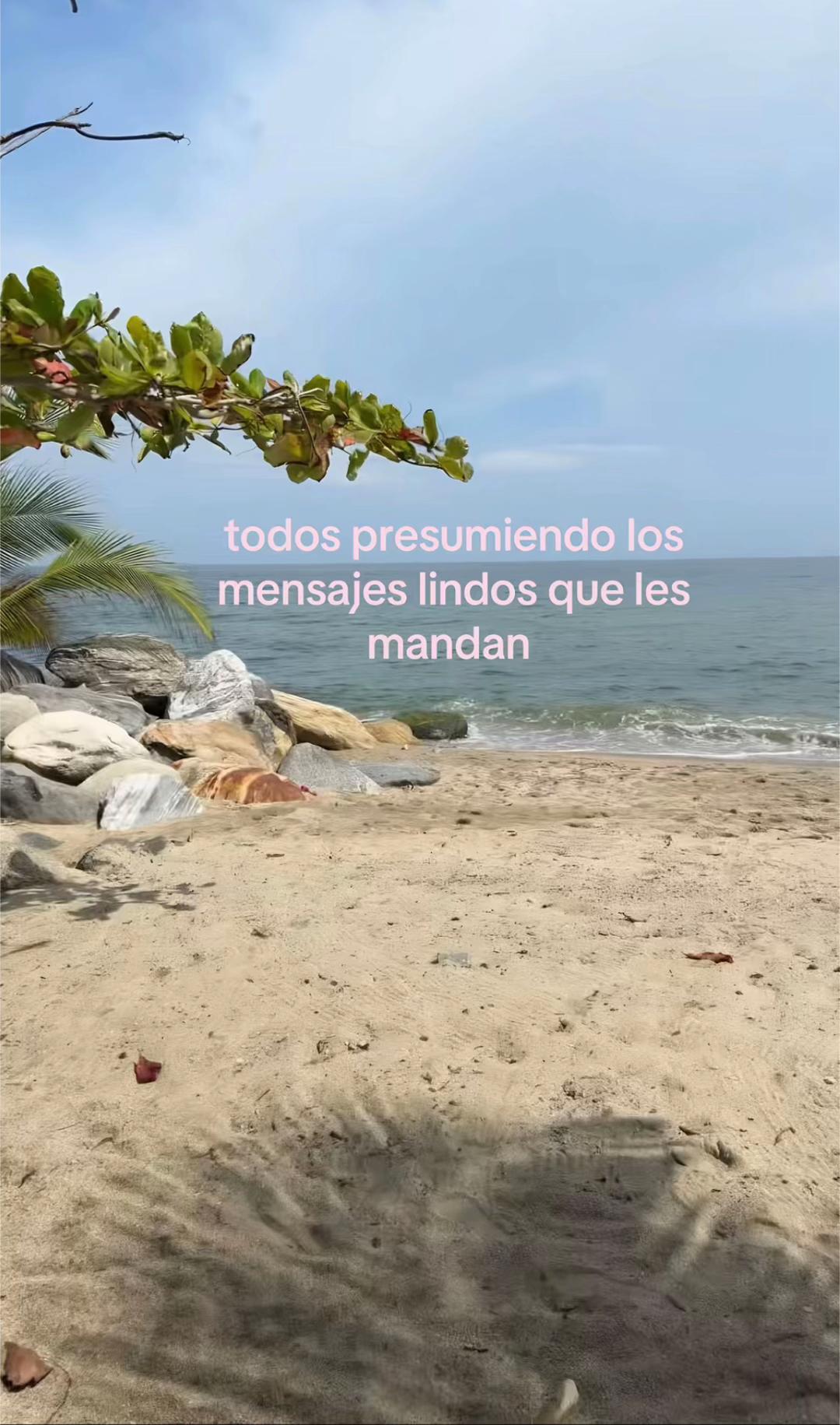 @Reyna Canales