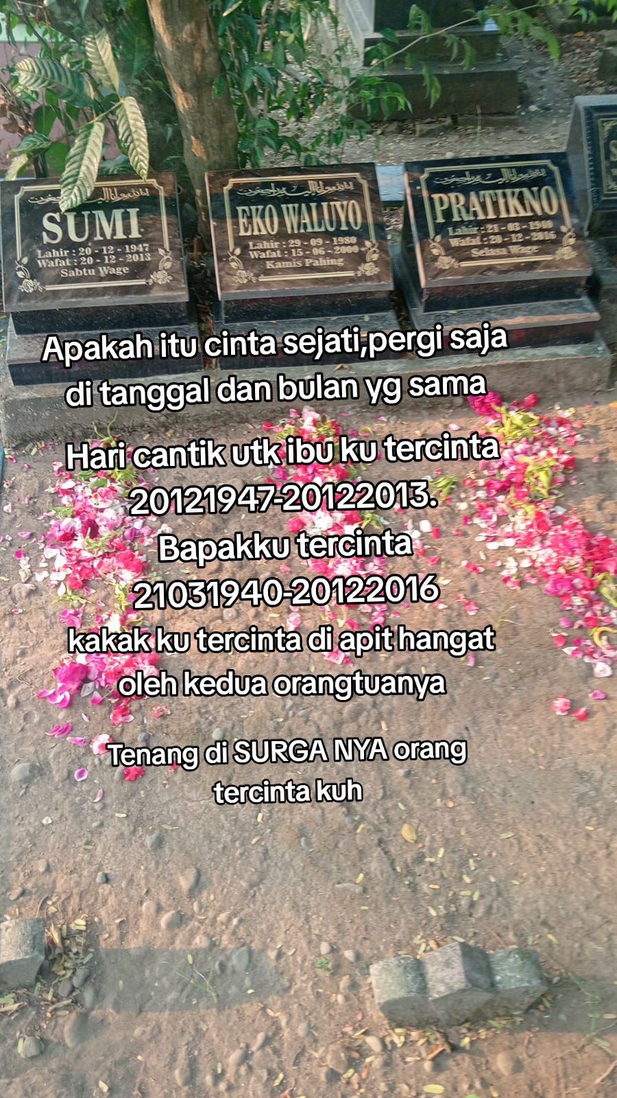 @Hii NONA