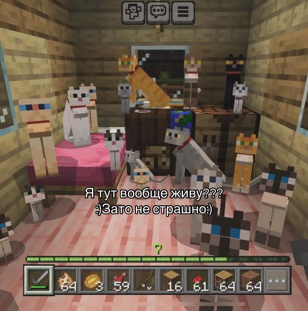 @sanny