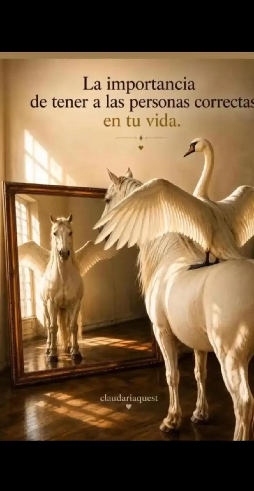 @✨Irene Lugo