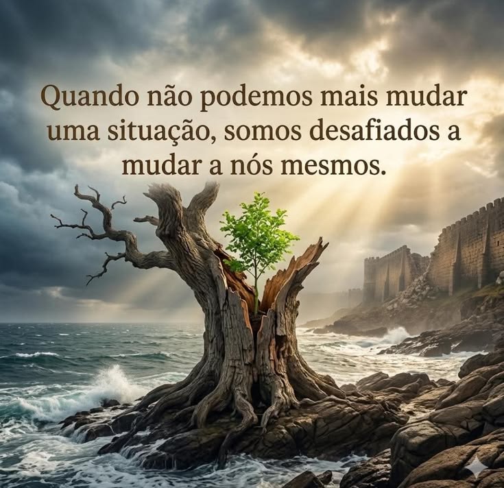 @Ocimar.