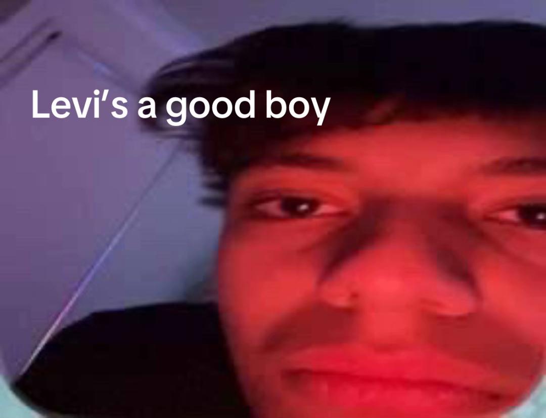 @levifanacc