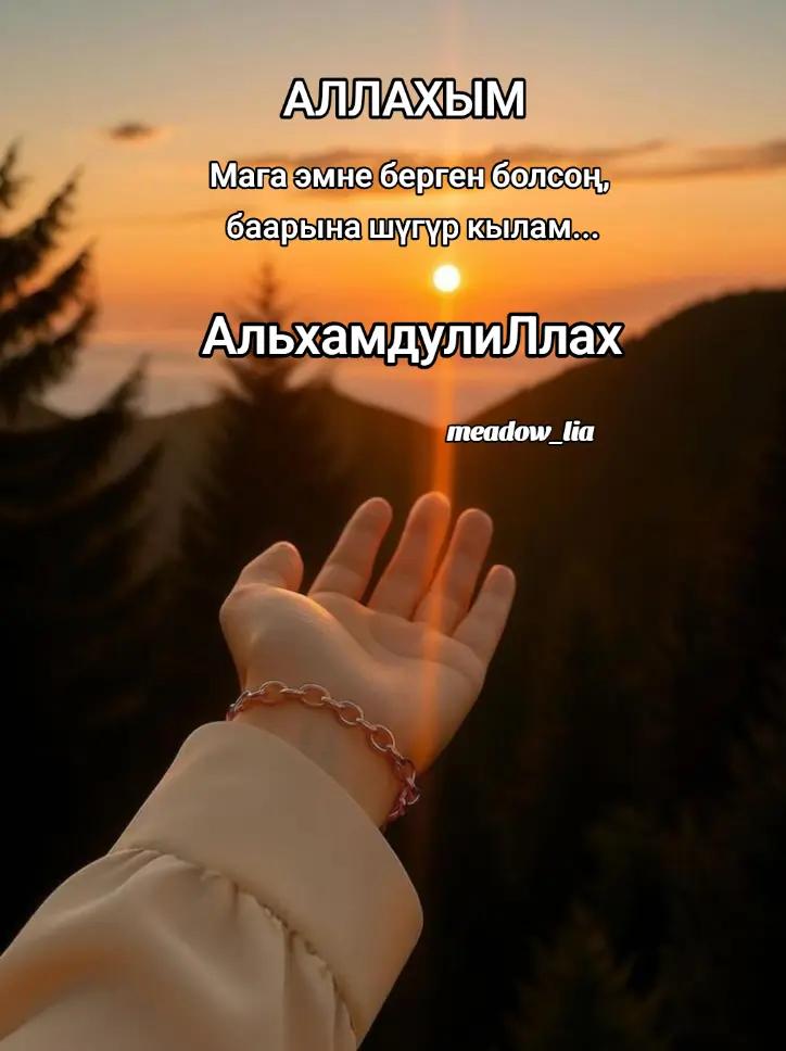 @𝔸𝕤𝕤𝕖𝕝𝕠𝕜 🇰🇬