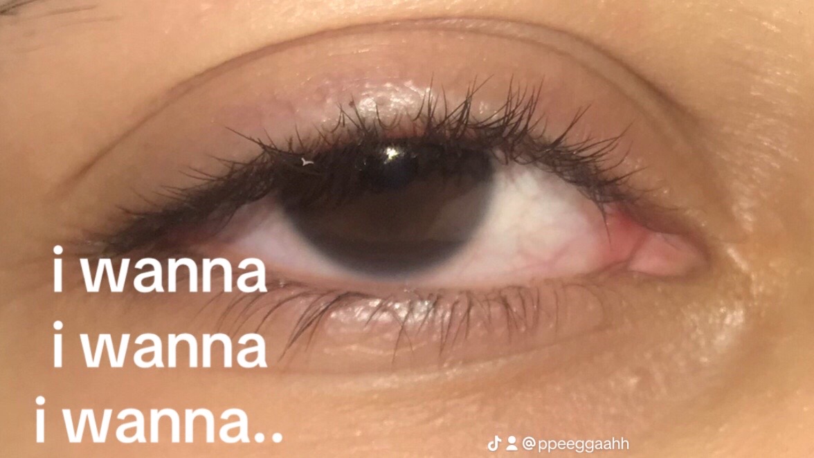 @Pegah.