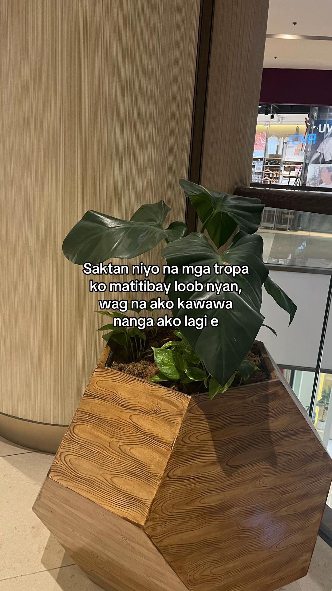 @⋆˚𝜗𝜚˚⋆