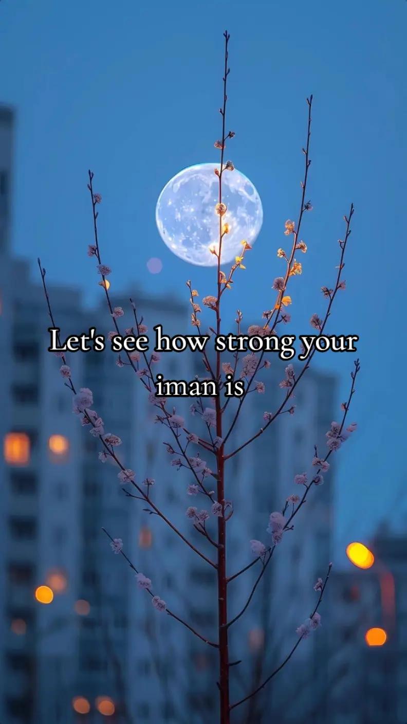 @🦋حواء&nbsp;🦋📿