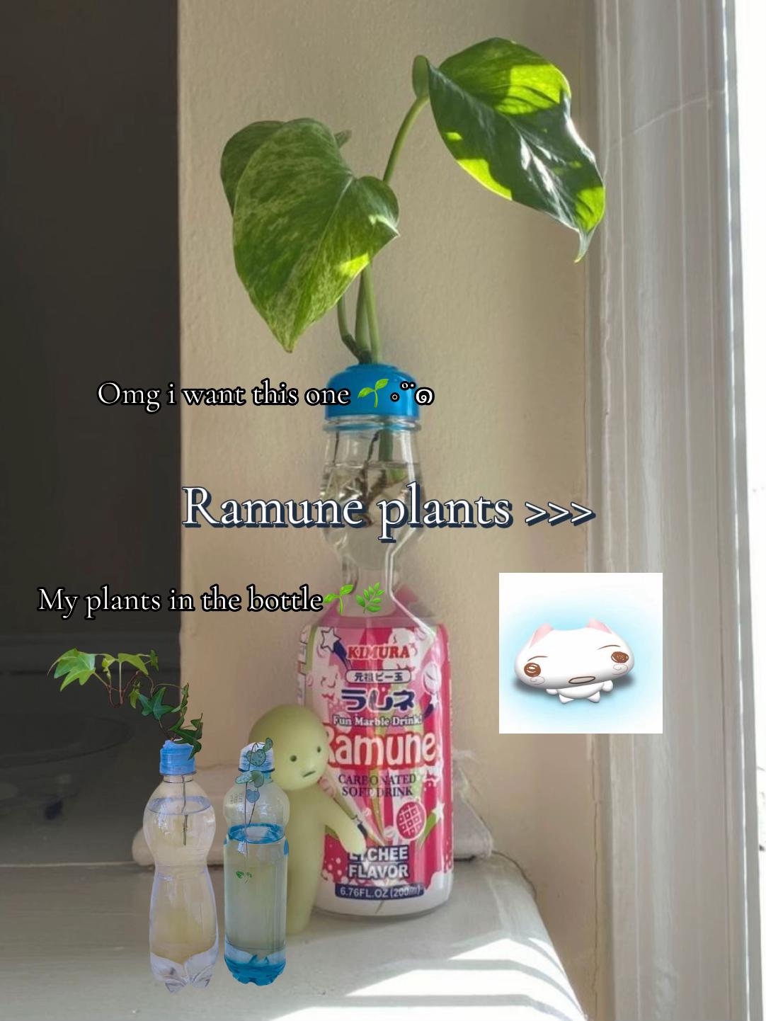 @ˁ῁̮ˀᴇsᴜᴛᴇʀᴜ⋆