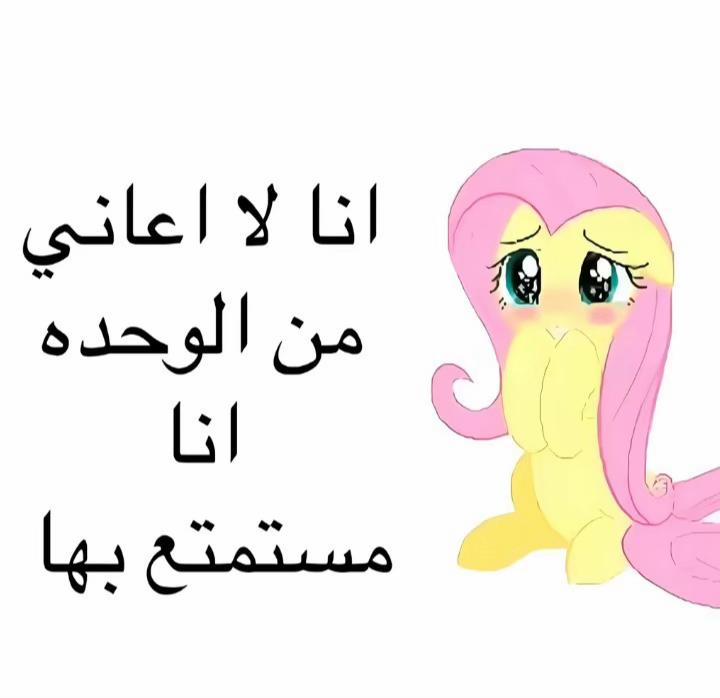 @assilbnd17