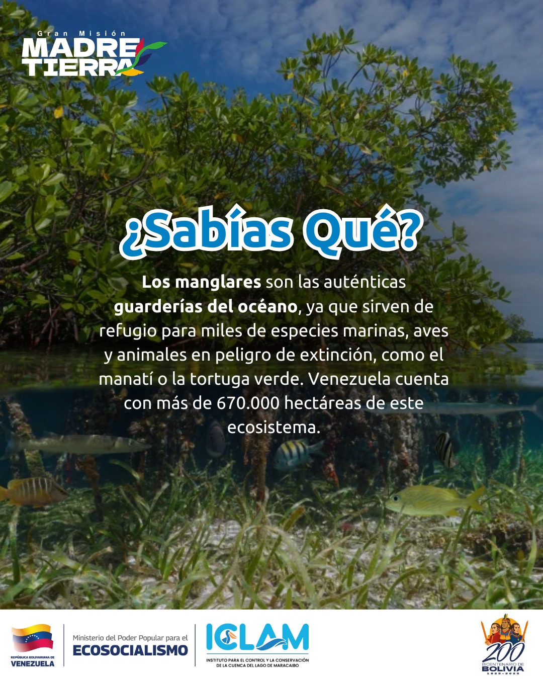 @iclam_ve