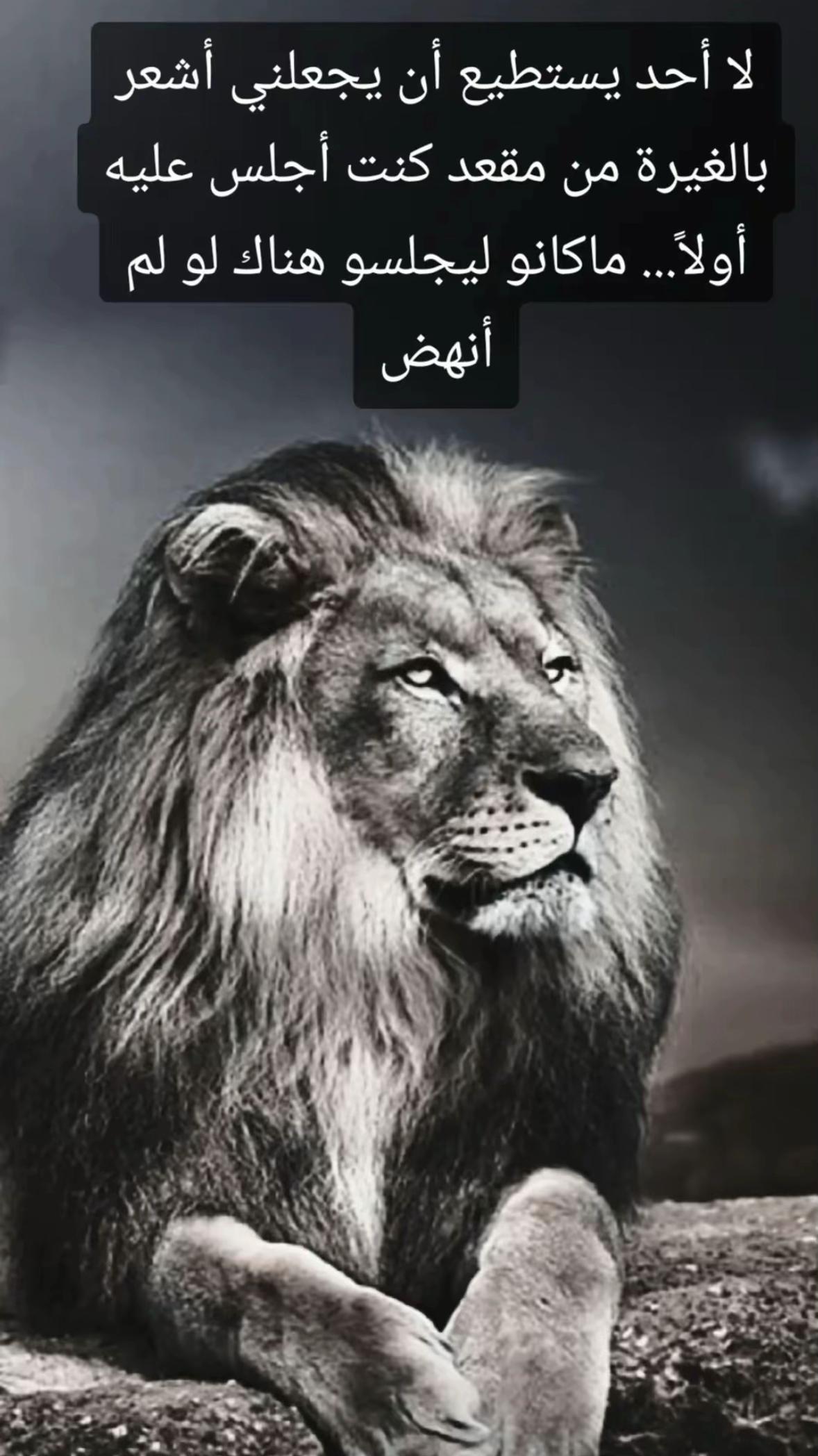 @🦁 scarface 🦁