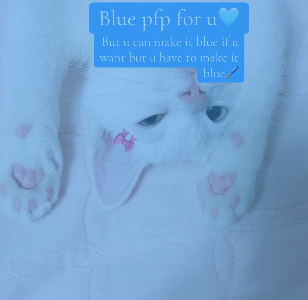 @Pie🫐🍓🧈🥧🎀