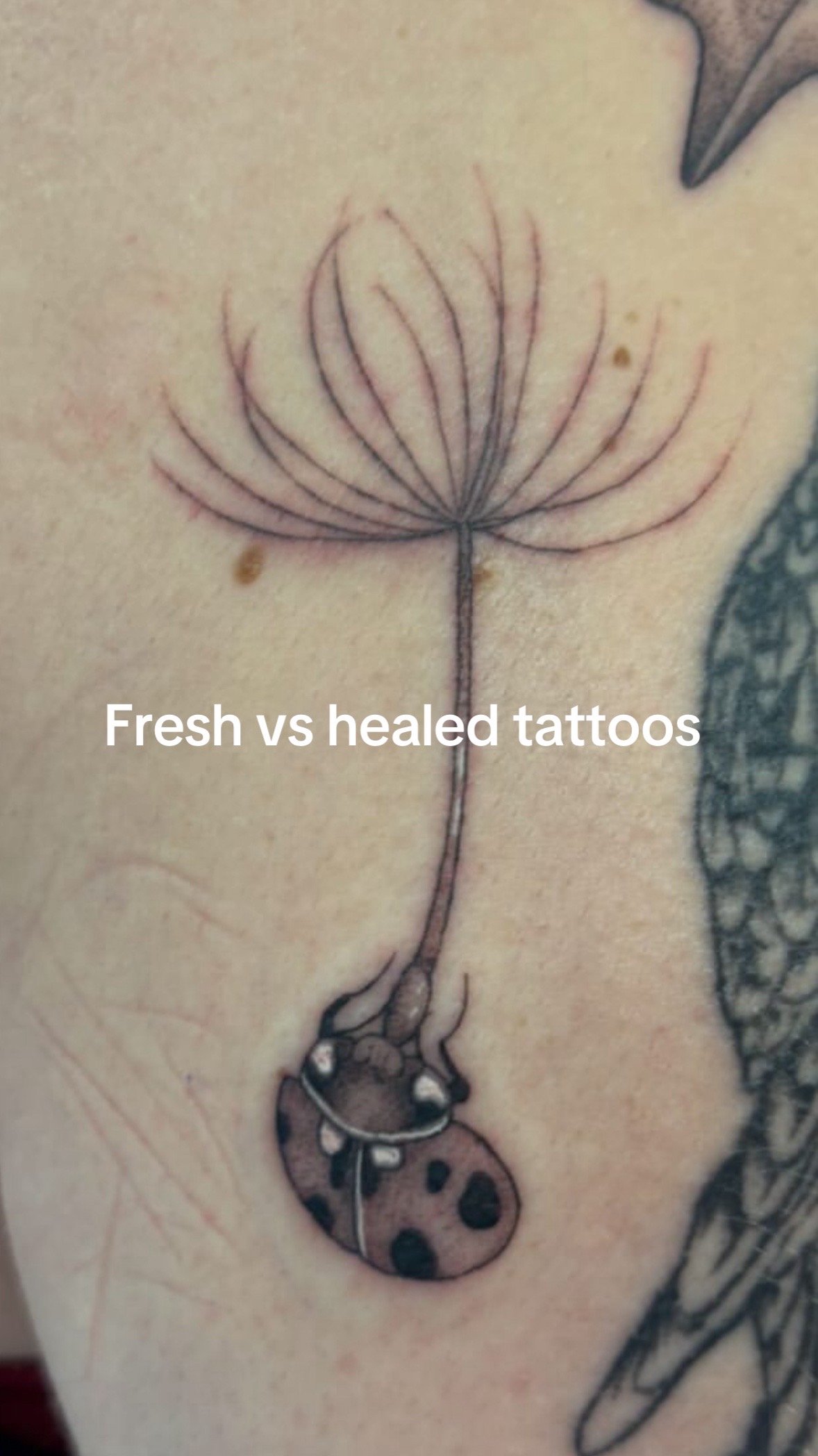 @Maken.ink