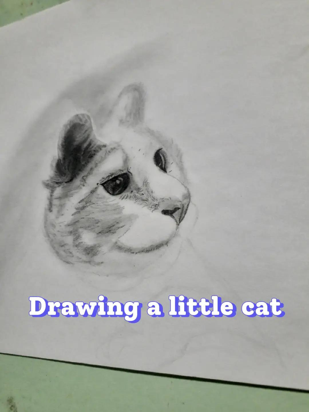 @Lawless_draw✏️