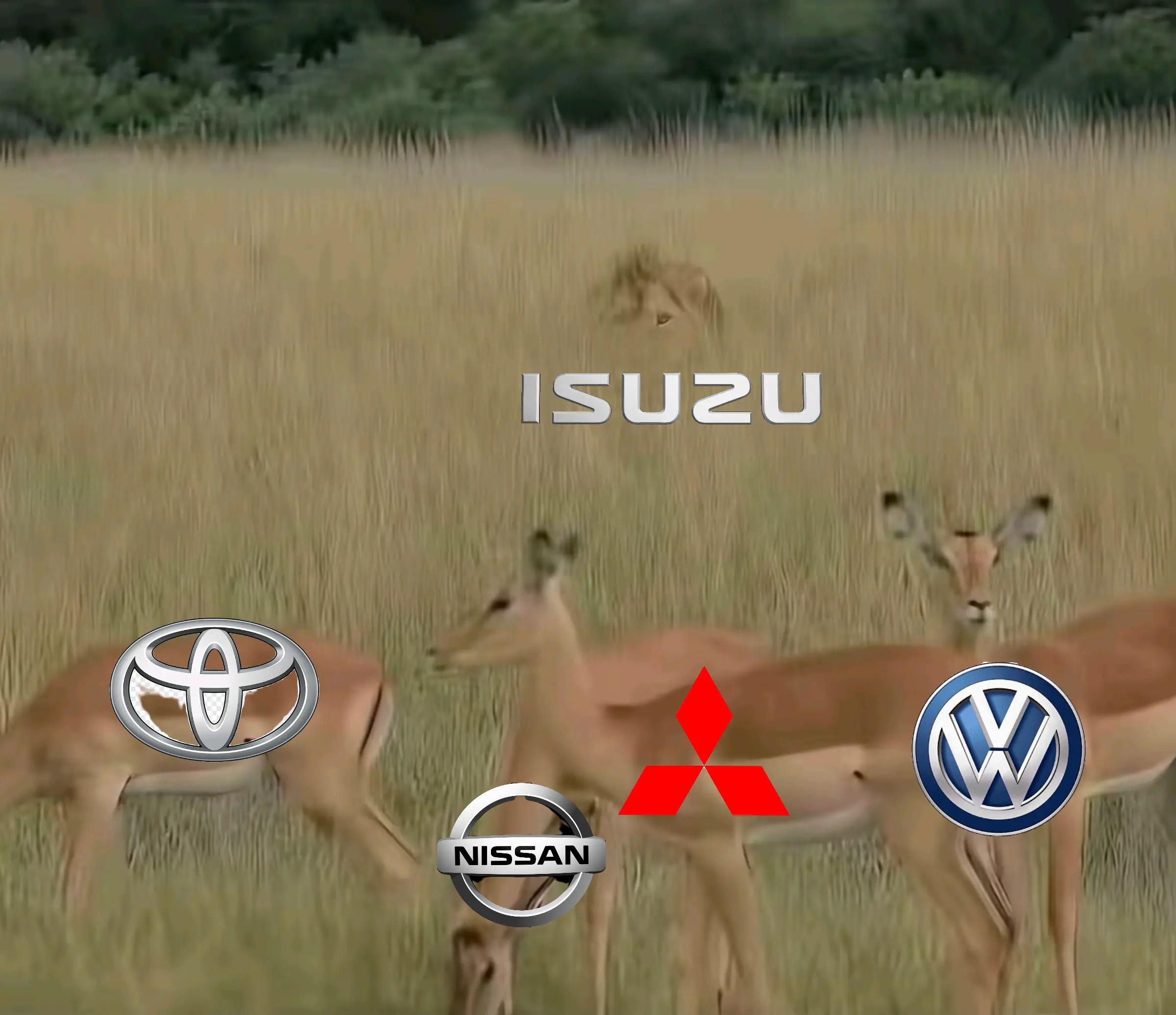 @Club Isuzu Dmax HN