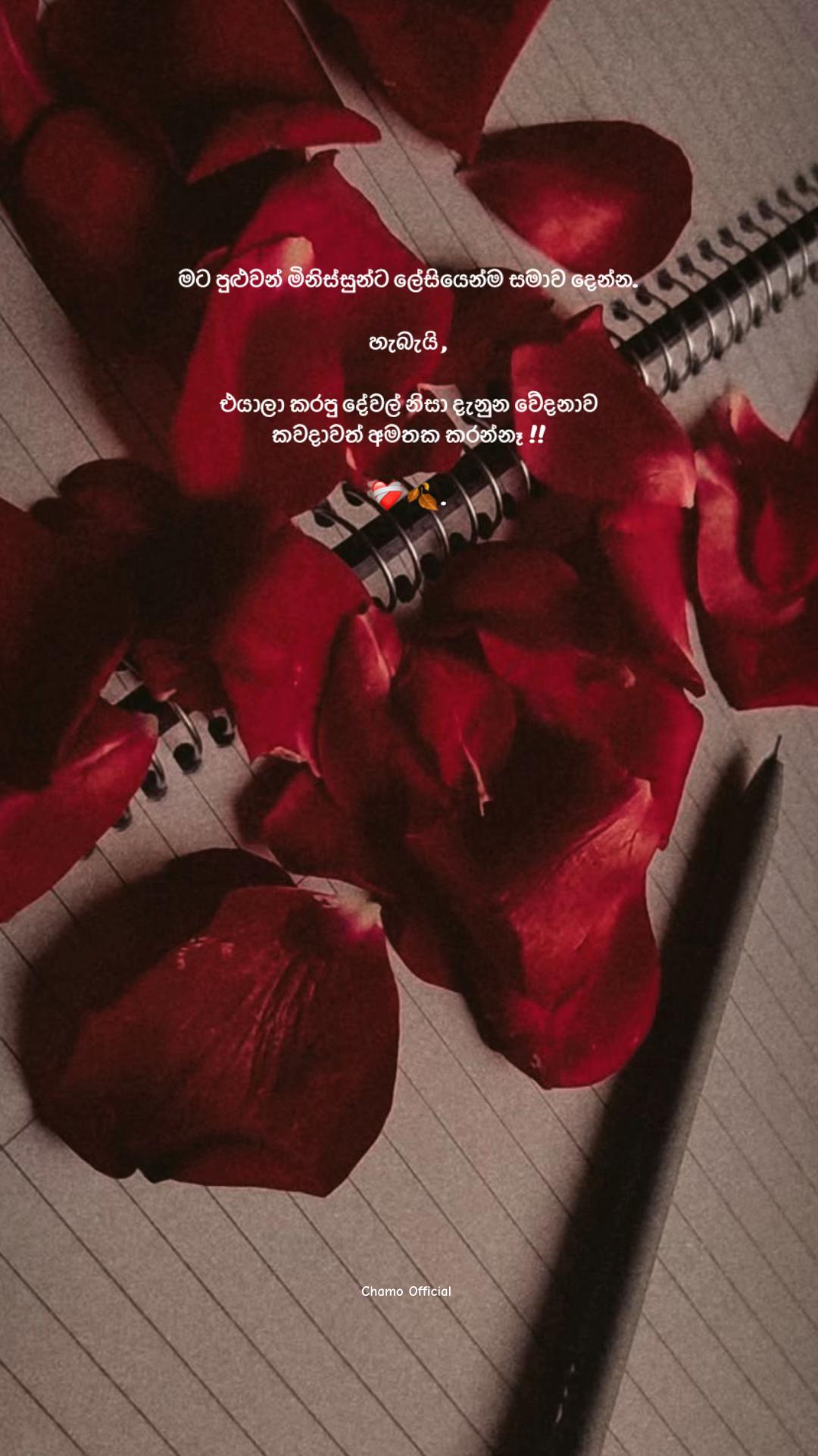 @< 𝐂𝐡𝐚𝐦𝐨 ᥫ᭡