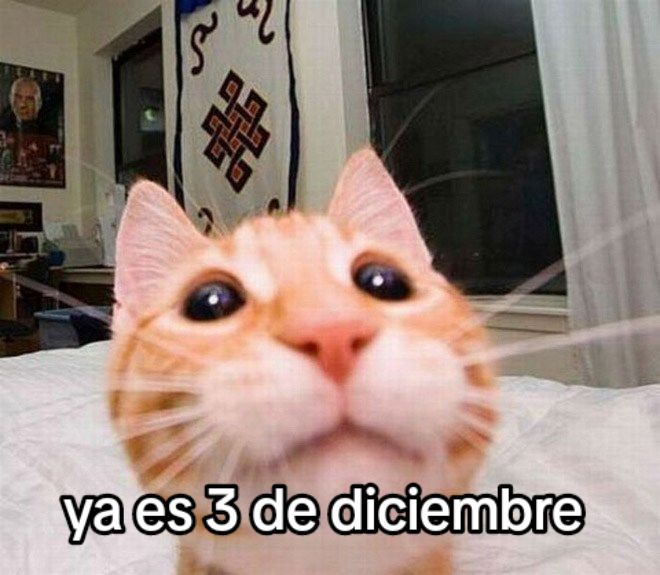 @StackerBolivia