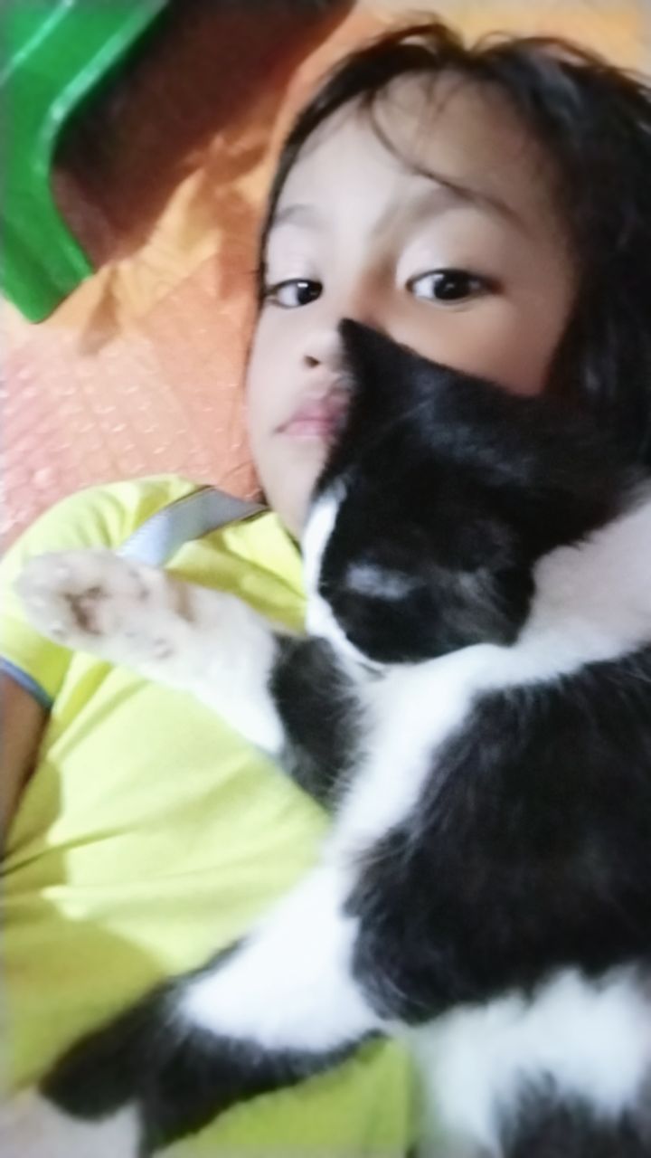 @ekoydapetlover