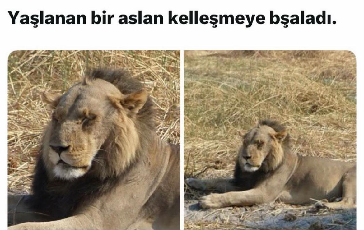 @GÖDE