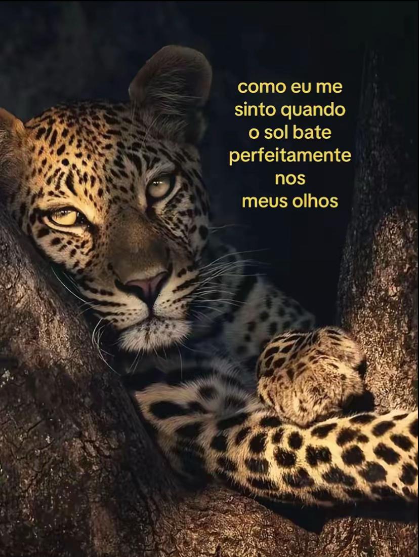 @Yasmim 