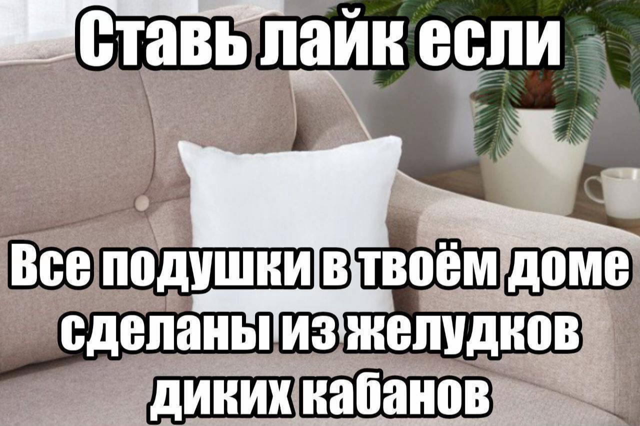 @Ppatr1ott мемчик