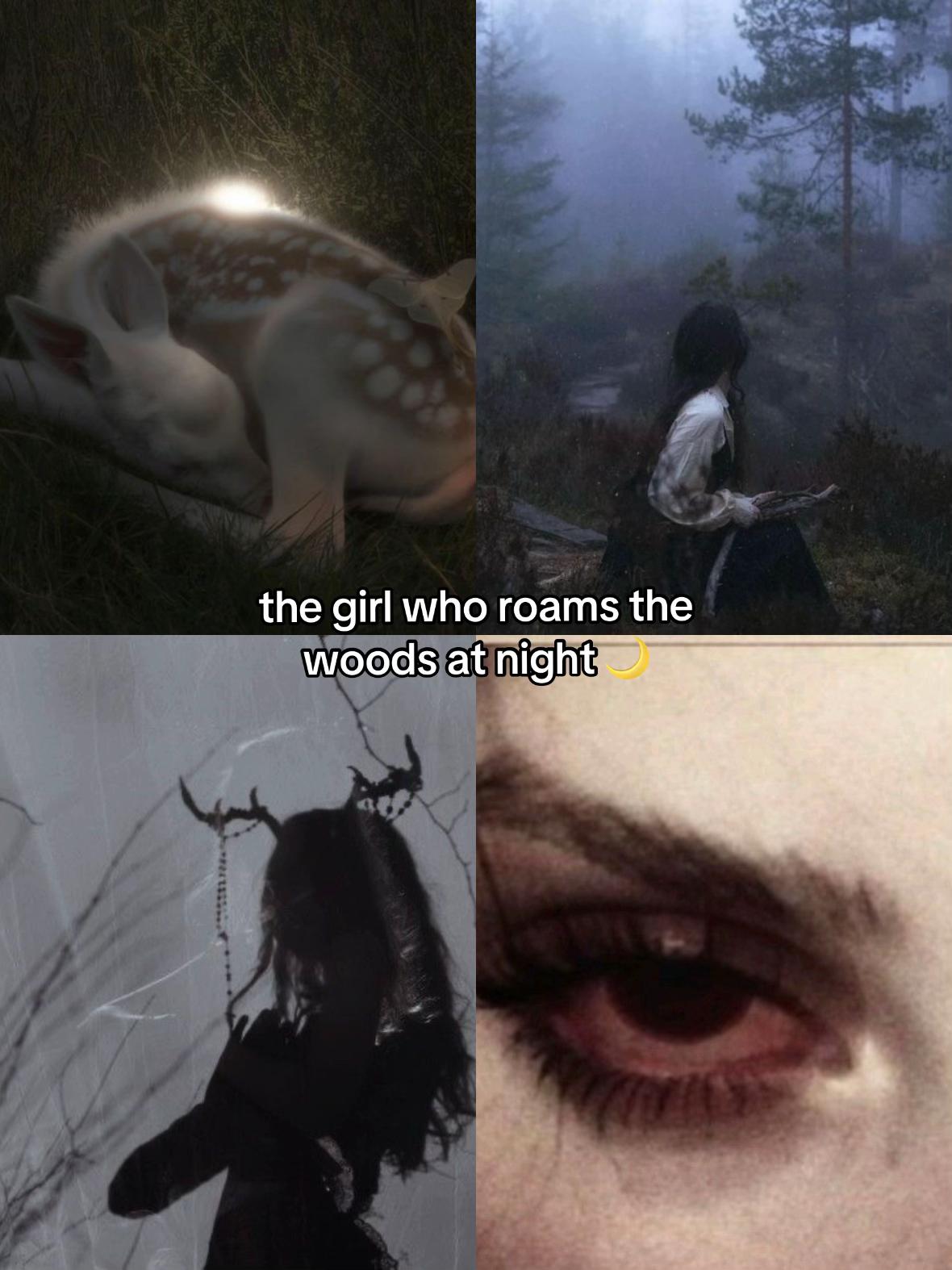 @Nyra Ashvale | Author 🕷️