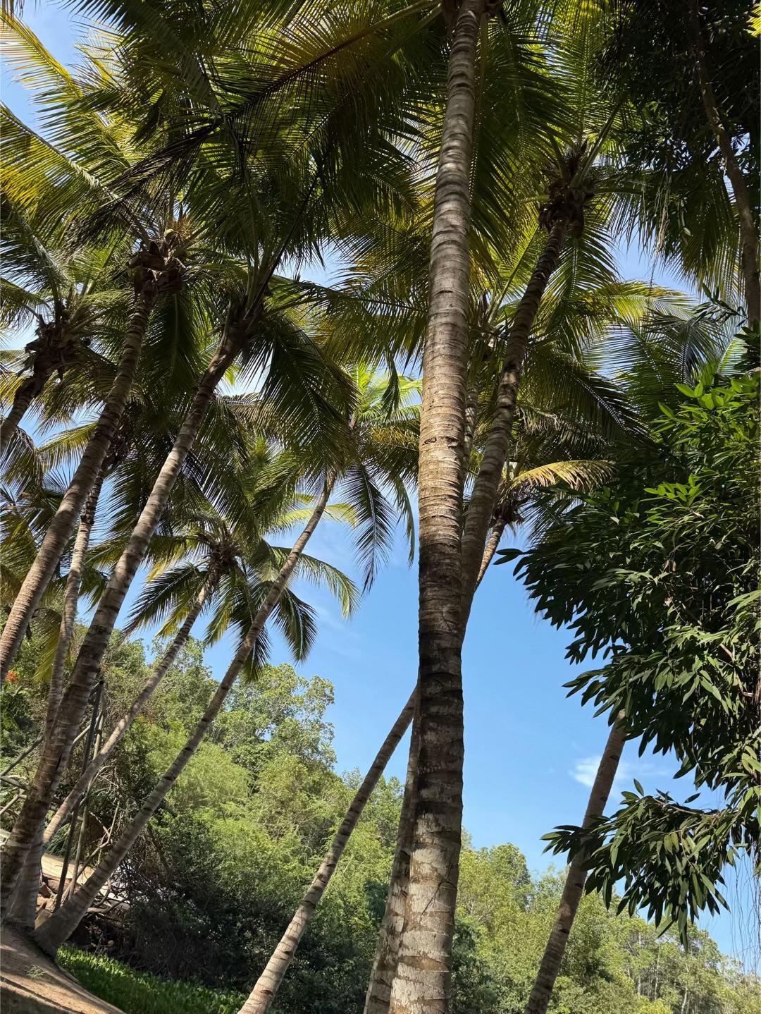 @Gugas Costa