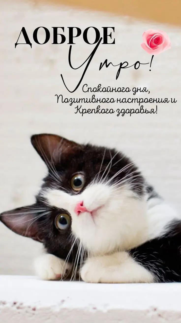 @Макс ✔️