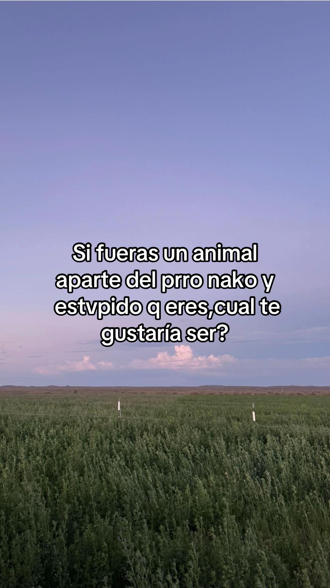 @Mis