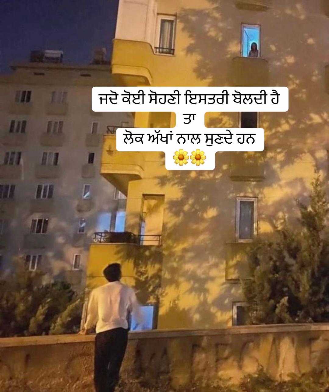 @Zlatanib11