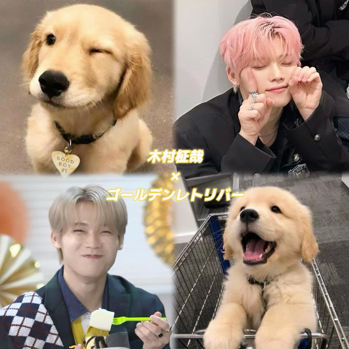 @🐶💙