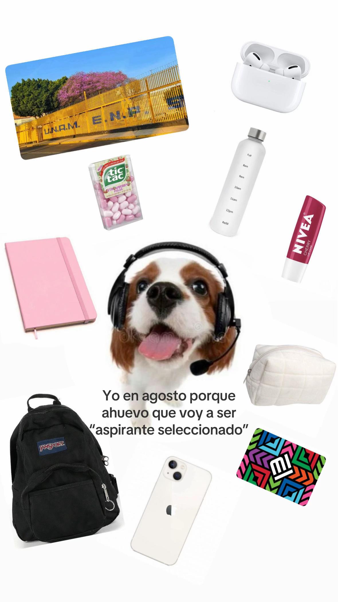 @yaya