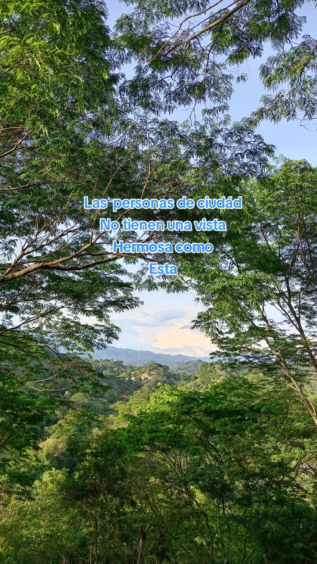 @💀suicide🇸🇻