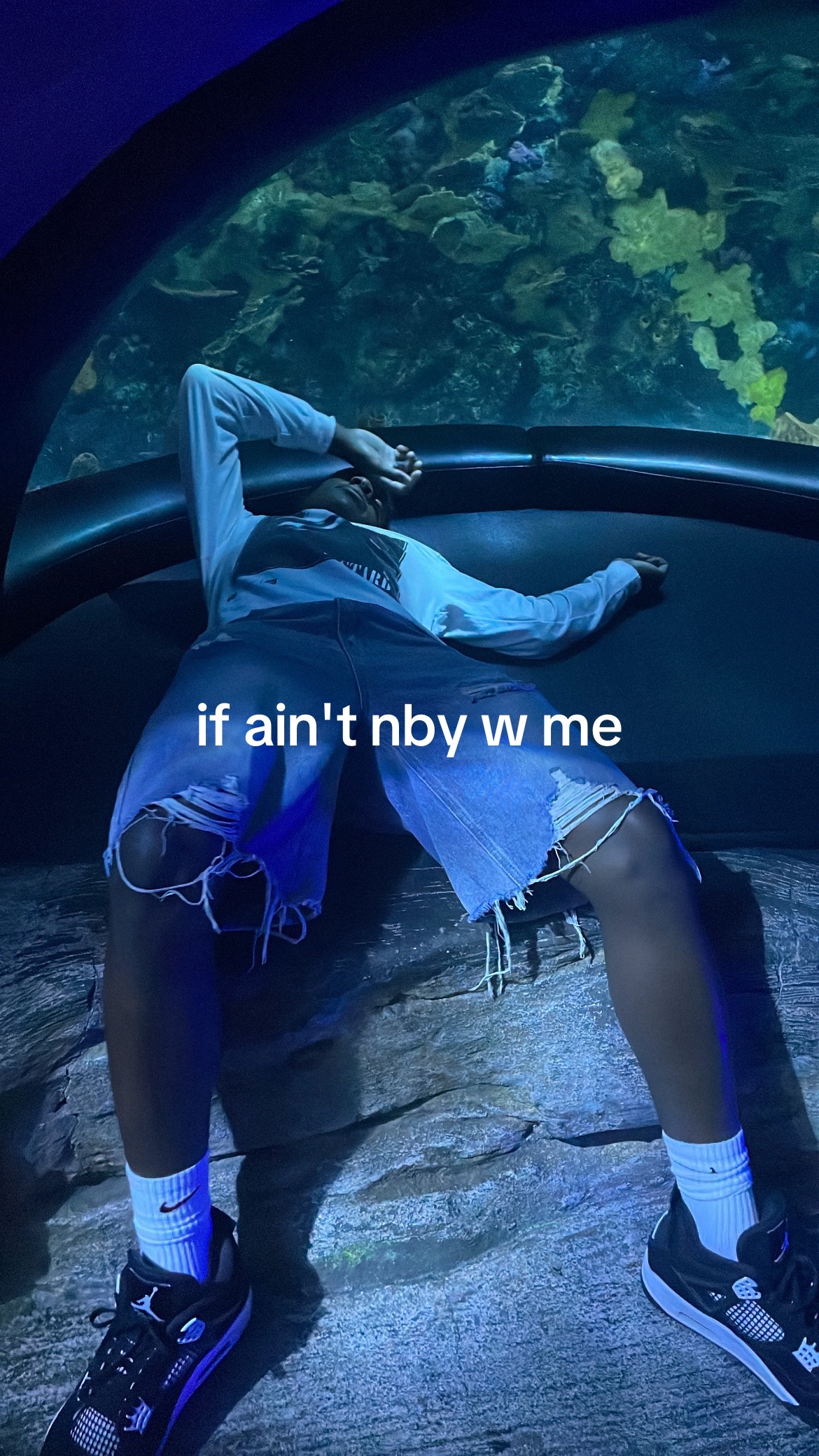 @user183079542