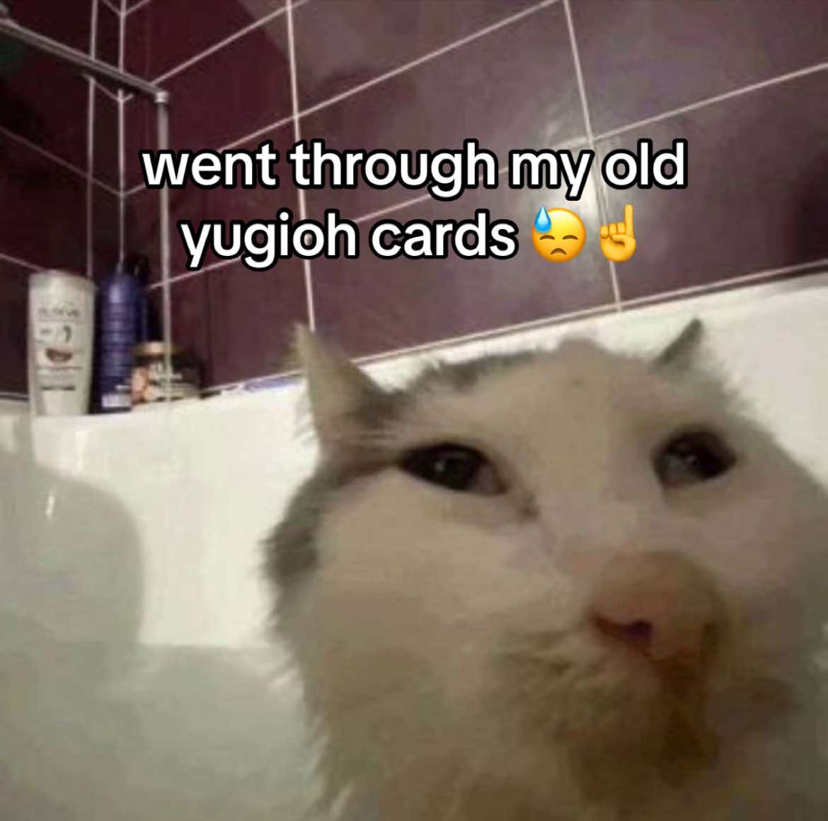 @chriss