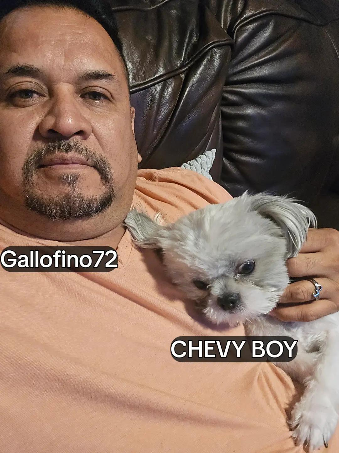 @ElGalloFino