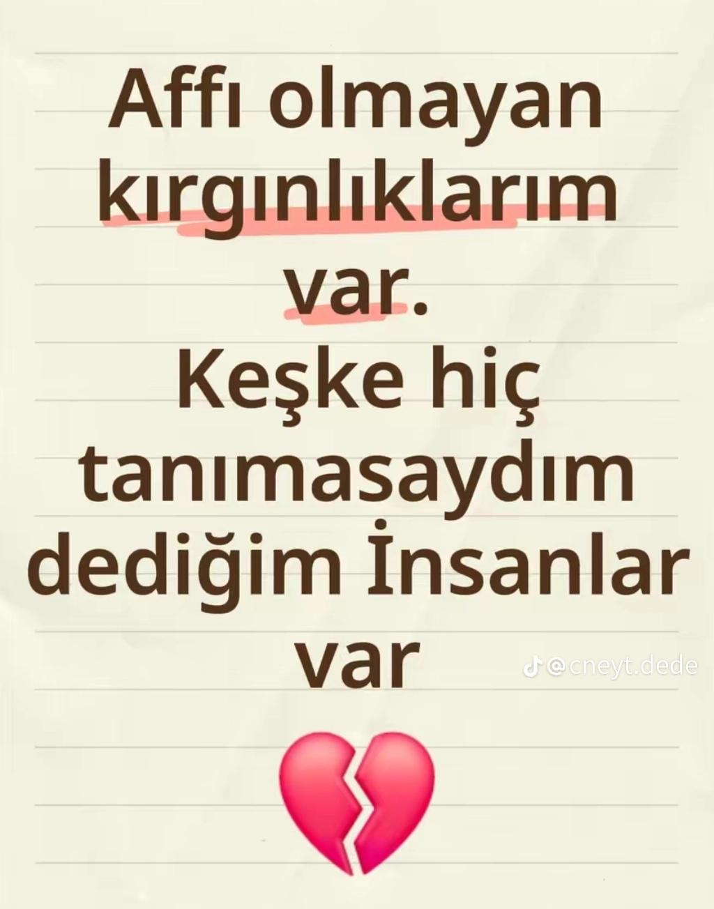 @81 D&uuml;zce
