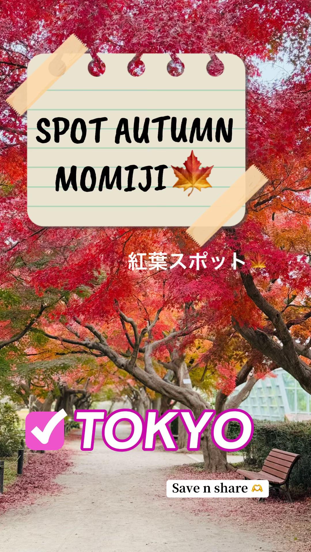 @武石 Novi