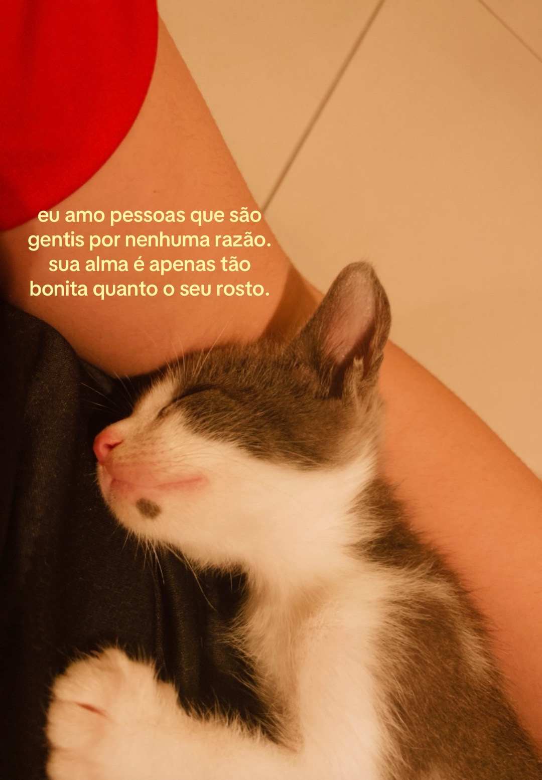@linss
