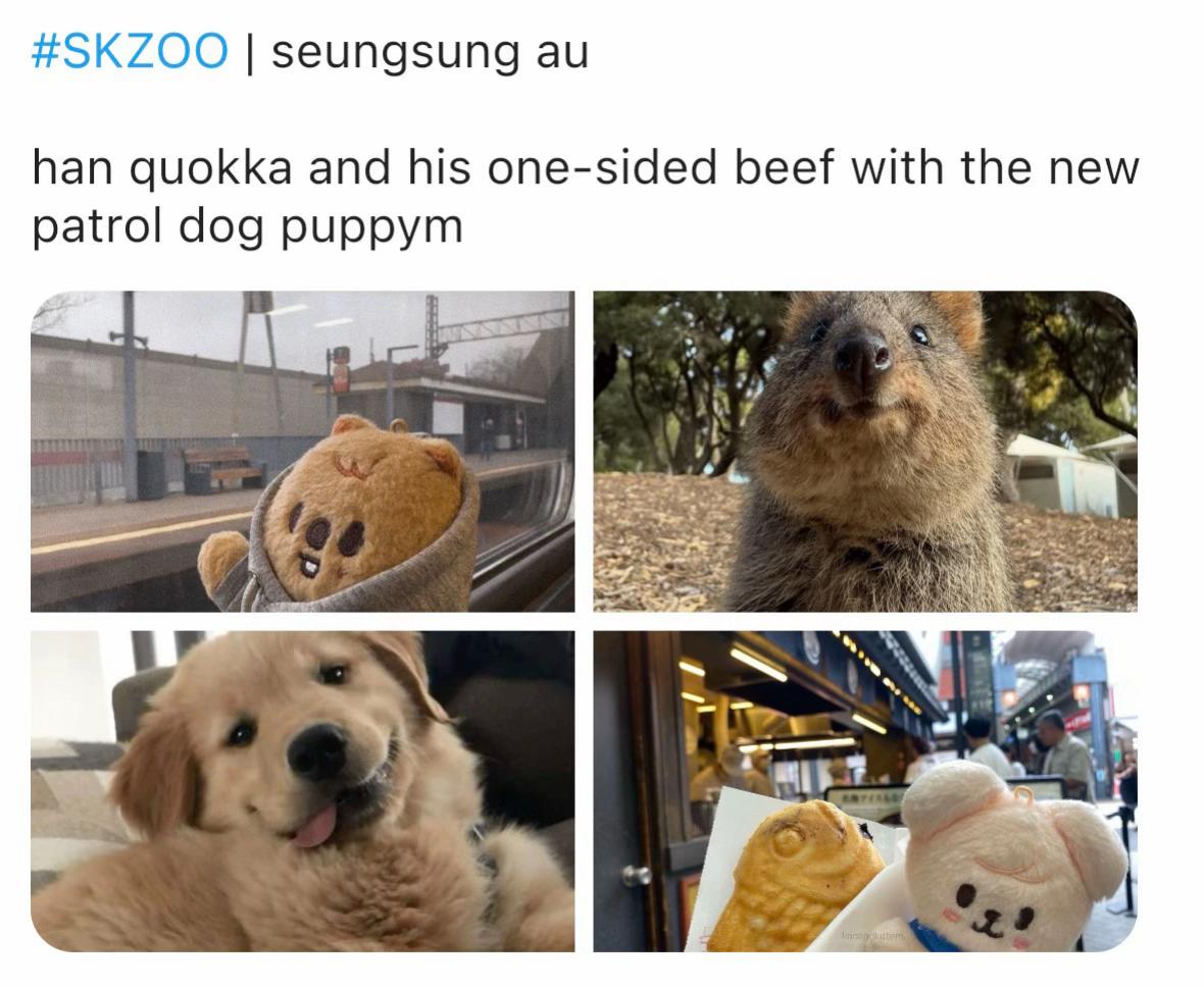 @ankylosaurus