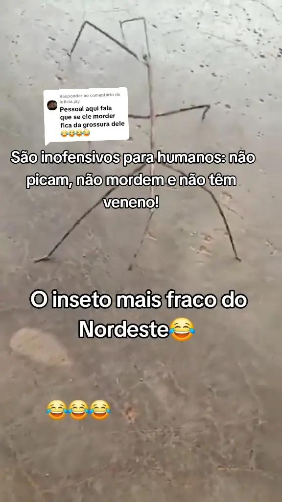 @Amante da natureza