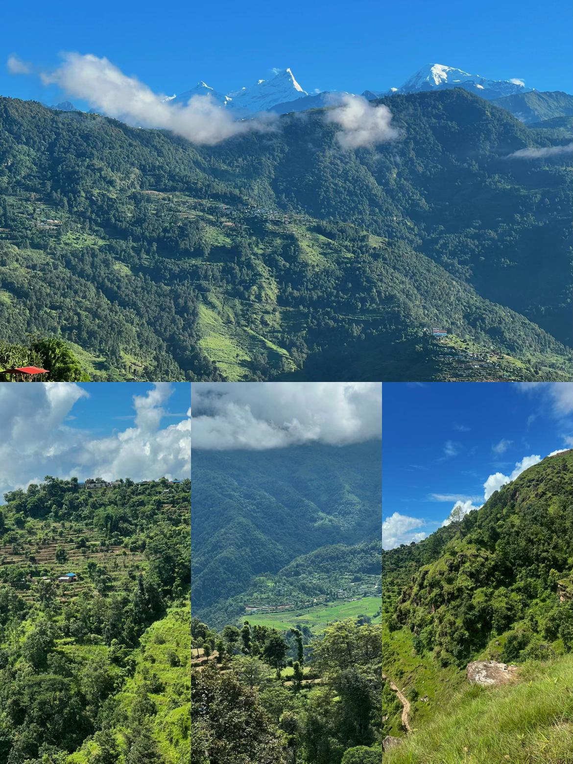 @Sital dhakal 💙