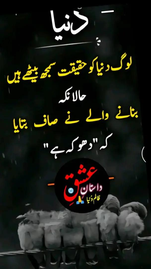 @RAJA NAEEM123tiktok