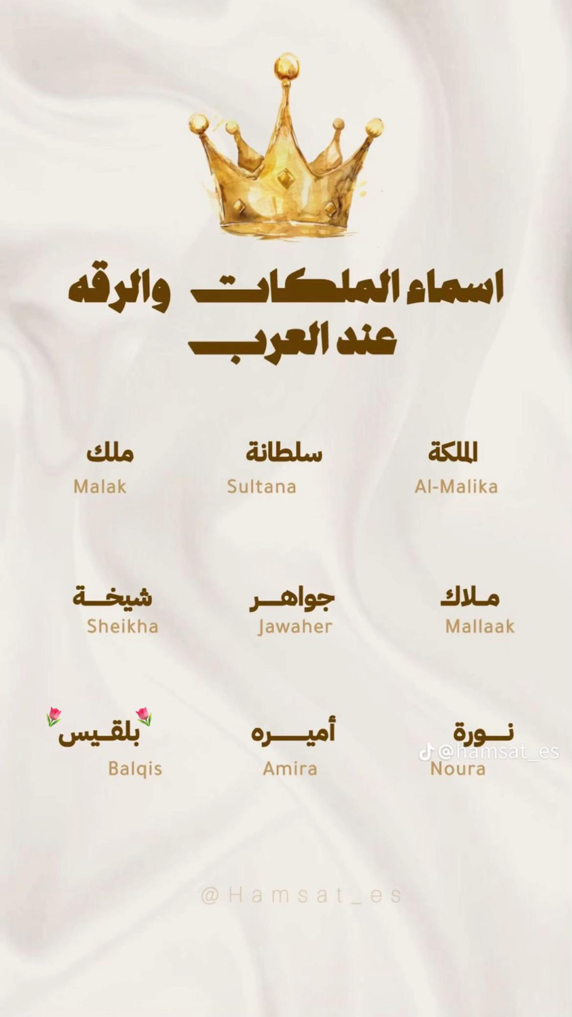 @توليَبه 🌷